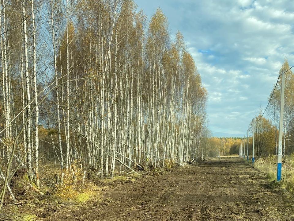 В поселке «Костинский лес» начато строительство дорог еще на двух улицах